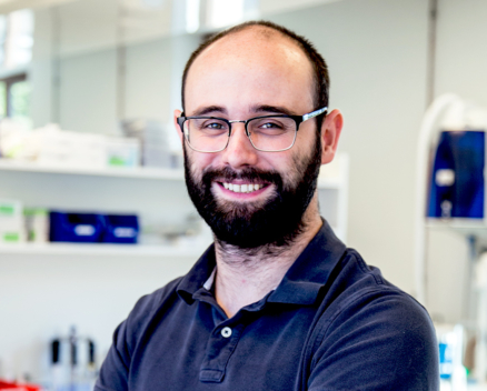 Cedric Willems Nucleis