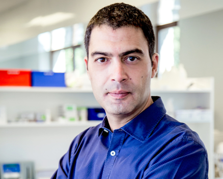 Fabrice Giacomelli Nucleis