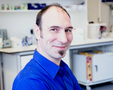 Frederic Mievis Nucleis