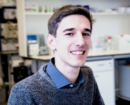 Jimmy Ianniello Nucleis