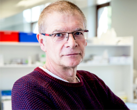 Franco Zanutto Nucleis